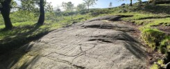 arte rupestre Campo Lameiro