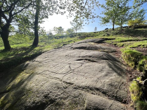 arte rupestre Campo Lameiro