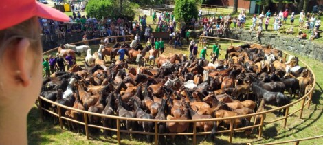 rapa das bestas amil moraña